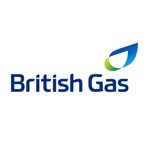 Sales Director